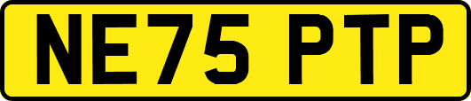 NE75PTP