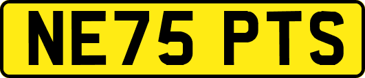 NE75PTS