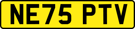 NE75PTV