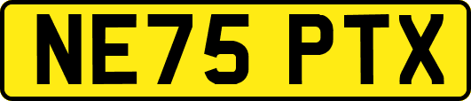NE75PTX