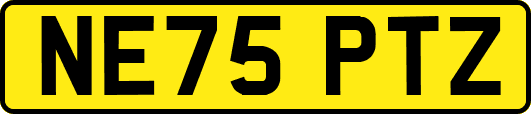 NE75PTZ