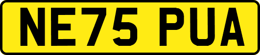 NE75PUA