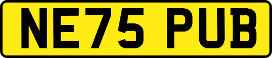 NE75PUB