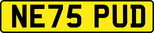 NE75PUD