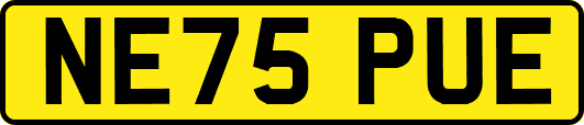 NE75PUE