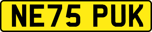 NE75PUK