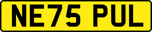 NE75PUL