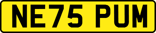 NE75PUM