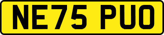 NE75PUO