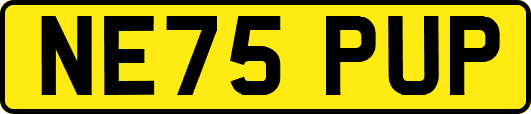NE75PUP