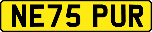 NE75PUR