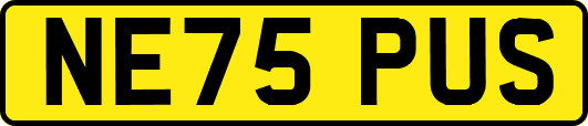 NE75PUS