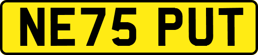 NE75PUT