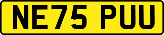 NE75PUU