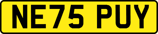 NE75PUY