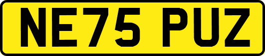NE75PUZ