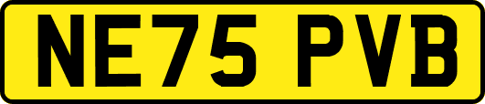 NE75PVB