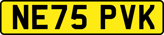 NE75PVK