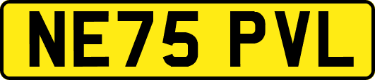 NE75PVL