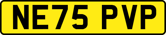 NE75PVP