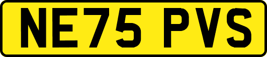 NE75PVS