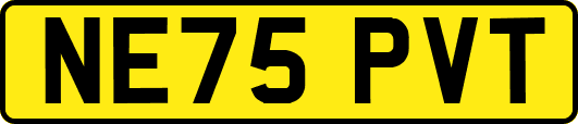 NE75PVT