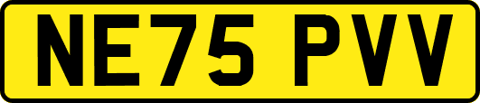 NE75PVV
