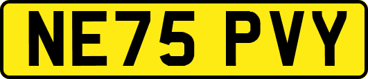 NE75PVY
