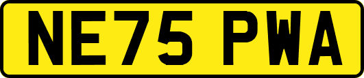 NE75PWA