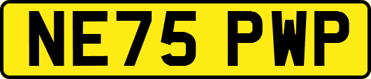 NE75PWP