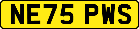 NE75PWS