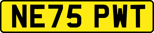 NE75PWT
