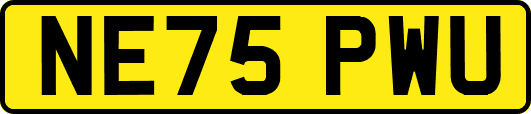 NE75PWU