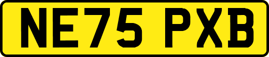 NE75PXB