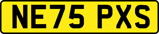 NE75PXS
