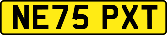 NE75PXT