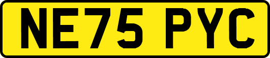 NE75PYC