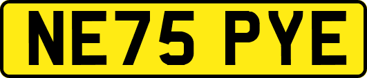 NE75PYE