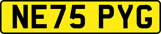 NE75PYG