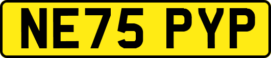 NE75PYP