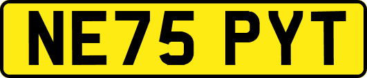 NE75PYT