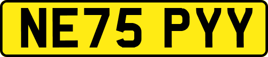 NE75PYY
