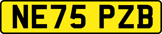 NE75PZB