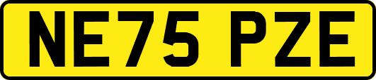 NE75PZE