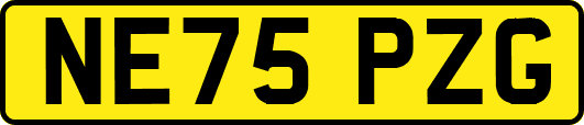 NE75PZG