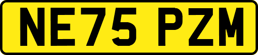 NE75PZM
