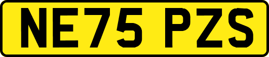 NE75PZS