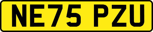 NE75PZU