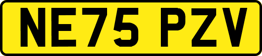 NE75PZV