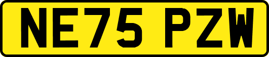 NE75PZW